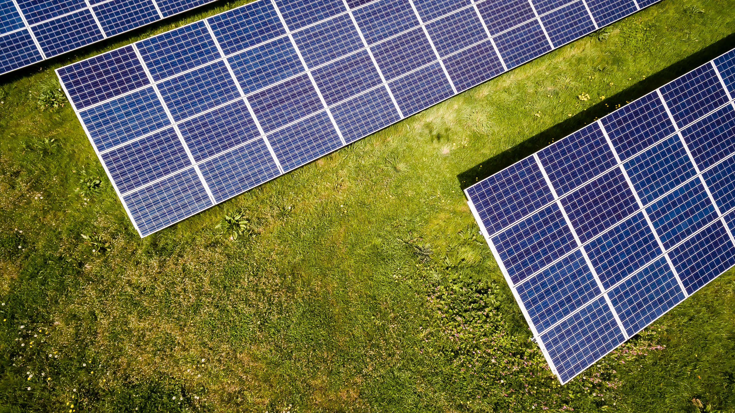 Solar panels on a bright sunny day